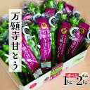 10位! 口コミ数「4件」評価「4.75」 万願寺甘とう 化粧箱入 秀品 1kg～2kg 【送料無料】 【2024年夏発送分】 京都 舞鶴 野菜 万願寺 万願寺とうがらし 甘とう 辛･･･ 