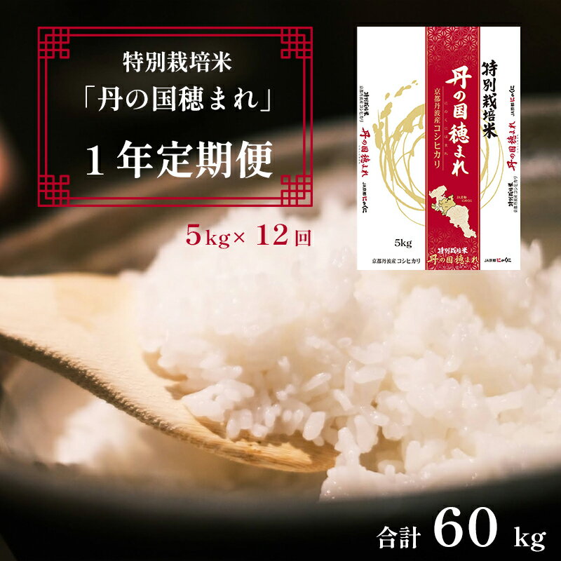 【ふるさと納税】 【定期便】 12回発送 特別栽培米 コシヒカリ 丹の国穂まれ 精米 5kg×12回 60kg 1年定期便 【送料無料】 農協 JA 京都 舞鶴 中丹 丹の国