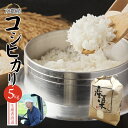【ふるさと納税】 【令和7年度産 新米】 コシヒカリ 5kg 精米 白米 京都産 舞鶴産 舞鶴コシヒカリ こしひかり 舞鶴米 お米 米 ごはん ご飯 ふっくら ...