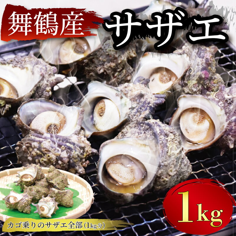   訳あり 国産 舞鶴 サザエ 1kg セット 冷凍 7～9個 舞鶴産 さざえ 巻き貝 1キロ BBQ バーベキュー アウトドア キャンプ 人気 栄螺 海鮮 かいせん 貝 カイ 不揃い 新鮮 こだわり 京都 舞鶴 1万円 10000円 舞景