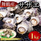 【ふるさと納税】 【 期間限定 】 訳あり 国産 舞鶴 サザエ 1kg セット 冷凍 7～9個 舞鶴産 さざえ 巻き貝 1キロ BBQ バーベキュー アウトドア キャンプ 人気 栄螺 海鮮 かいせん 貝 カイ 不揃い 新鮮 こだわり 京都 舞鶴 1万円 10000円 舞景