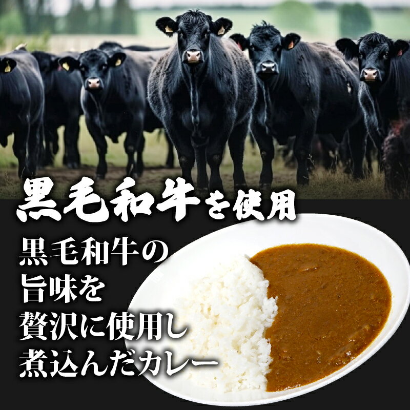 【ふるさと納税】 黒毛和牛 牛すじ恋カレー 200g×5P 冷凍 宮崎牛 和牛 トロトロ すじ肉 牛スジカレー フローズンフード 簡単調理 ギフト 小分け 個包装 おつまみ レトルト 保存 冷凍 簡単調理 プレゼント 贈り物 ギフト お祝い 熨斗 お中元 お歳暮