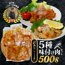 【ふるさと納税】 【訳あり】 味付け肉 5種類 セット 500g 特製つけだれ 味付け肉 漬け込み肉 お手軽焼肉 今夜の一品 焼くだけ てっちゃん みそ味 とり...