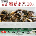 【ふるさと納税】育成岩がき 大 10個入 4kg前後 生食用 【楽天限定】【コロナ支援】【緊急支援】【送料無料】