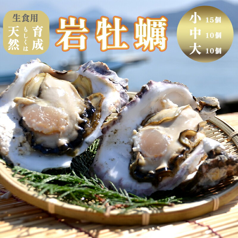 【ふるさと納税】 岩がき 小/中/大 10～15個入 3～4kg前後 生食用 京都府 舞鶴産 牡蠣 【送料無料】 【～8月中頃まで発送予定】 訳あり 天然 育成 養殖 岩牡蠣 牡蠣 いわがき 貝 海鮮 魚介類 舞鶴湾かき小屋 美味星