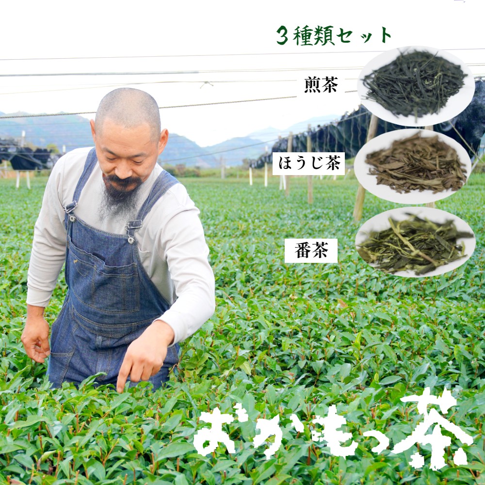 おかもっ茶 煎茶 ほうじ茶 番茶 3種類 セット 1.1kg 日本茶 緑茶 茶葉 [送料無料] 京都 舞鶴 お茶 舞鶴茶