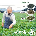 【ふるさと納税】 おかもっ茶 煎茶 