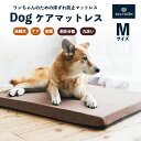 【ふるさと納税】 ジェルトロン Dog ケアマットレス Mサイズ : ペット用品 いぬ 犬 ドッグ わんこ ベッド マット マットレス ケア 老犬 シニア犬 介...