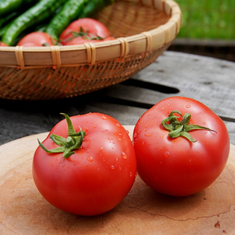 【ふるさと納税】 夏野菜セット 万願寺とうがらし1kg トマト2kg 化粧箱入 夏野菜 セット 野菜 万願寺とうがらし とまと 合計3kg 農家直送 盛り合わせ 京都 舞鶴 嵯峨根農園 【送料無料】