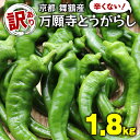 【ふるさと納税】 【5月中旬〜11月下旬発送】 【訳あり】 万願寺 とうがらし 1.8kg ( 900g × 2箱 ) 辛くない 美味しい おいしい 肉厚 甘い...