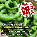 京都府舞鶴市の画像2