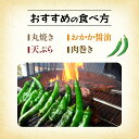 京都府舞鶴市の画像3