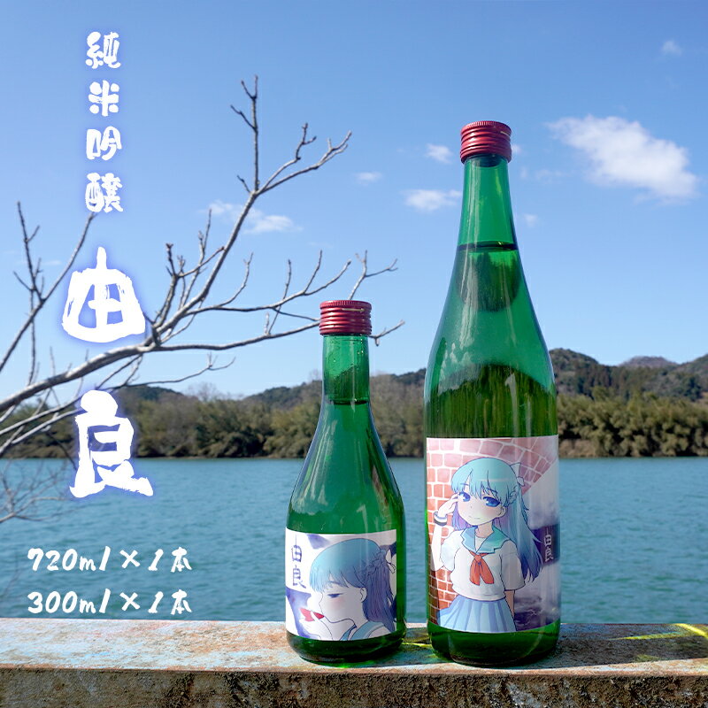 1位! 口コミ数「0件」評価「0」 純米吟醸 由良 720ml×1本 300ml×1本 日本酒 2本セット 辛口 地酒 限定パッケージ 【送料無料】 贈答 熨斗