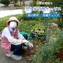 舞鶴市内にある家屋周辺の除草と外観のチェックを行います。 作業前・作業完了後・家屋外観の写真を添えて依頼者へご報告致します。 無人になってしまい、何年も様子を見ていない空き家の様子を遠方からご確認いただけます。 ※庭木の剪定や屋内のチェックなどは含まれません。 ※誰かがお住いの場合はご相談ください。 ※注意事項※ ・作業希望日の30日前までにお申込みください。 ・10時間を超える作業は行いませんので、雑草の状況によっては敷地内全ての除草ができない場合があります。 ・お申込み後、1年以上連絡が取れない場合は返礼品を辞退したものとして処理いたします。 ※お申込み前のご確認ください※ 1．お申込み後に内容や日時の打ち合わせの連絡をいたします。 2．作業日に現地に赴き、序章作業と外観チェックを行います。（作業時間：2人×5時間＝10時間） 3．後日、作業前・作業後・外観の写真を報告し、終了となります。 ＊検索用ワード＊ 京都府舞鶴市　京都府　舞鶴市　舞鶴　まいづる　舞鶴市内　除草　庭掃除　草引き　草刈り　家屋チェック　実家　空き家　サービス　親孝行　敬老の日 地場産品類型 類型該当理由 7 舞鶴市内限定の除草サービスであるため ・ふるさと納税よくある質問はこちら ・寄付申込みのキャンセル、返礼品の変更・返品はできません。寄付者の都合で返礼品が届けられなかった場合、返礼品等の 再送はいたしません。あらかじめご了承ください。 ・この商品はふるさと納税の返礼品です。スマートフォンでは「購入手続きへ」と表記されておりますが、寄付申込みとなり ますのでご了承ください。