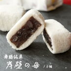 【ふるさと納税】 舞鶴銘菓 岸壁の母 16個 箱入り 和菓子 人気 受賞 餡子 粒あん お土産 京都 舞鶴 銘菓 お持たせ 【送料無料】