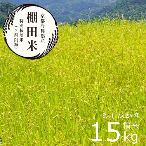 【ふるさと納税】棚田米15kg コシヒカリ 特別栽培米 7割削減 令和3年産 新米 ...