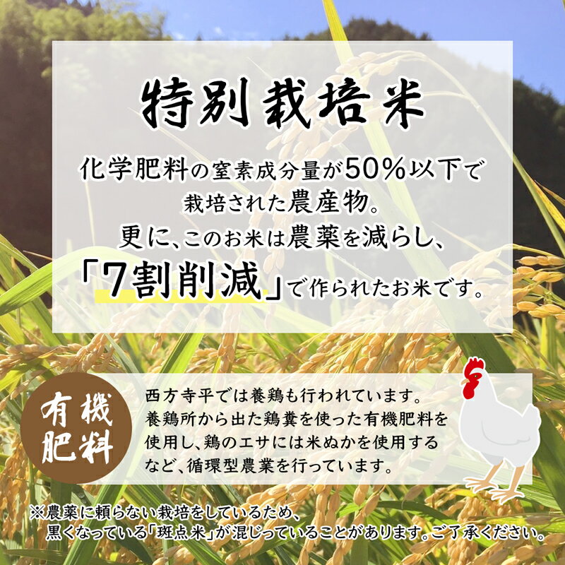 【ふるさと納税】 【令和7年度産 新米 】 棚田米 玄米 5〜15kg 特別栽培米 7割削減 コシヒカリ 京都産 舞鶴 こしひかり ごはん 農家直送 生産者直送