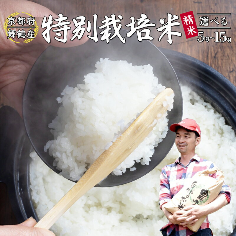 楽天市場】京都産 コシヒカリ 10kgの通販