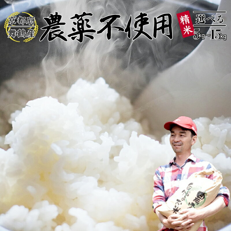 [令和7年度産 新米 先行予約] 棚田米 5〜15kg 白米 栽培期間中農薬不使用 コシヒカリ お米 精米 京都産 舞鶴 こしひかり ごはん 農家直送 生産者直送