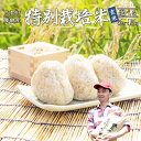 【ふるさと納税】 棚田米 玄米 5〜15kg 特別栽培米 7割削減 コシヒカリ 令和6年産 京都産 舞鶴 こしひかり ごはん 農家直送 生産者直送
