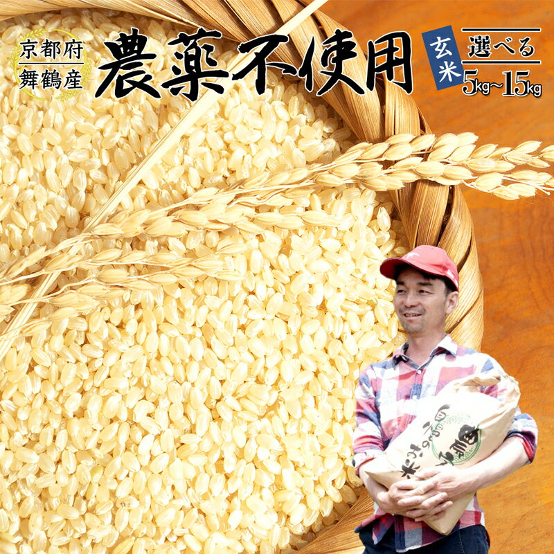 【ふるさと納税】 【令和7年度産 新米 】 棚田米 玄米 5〜15kg 栽培期間中農薬不使用 コシヒカリ こしひかり 京都産 舞鶴 こしひかり ごはん 農家直送...
