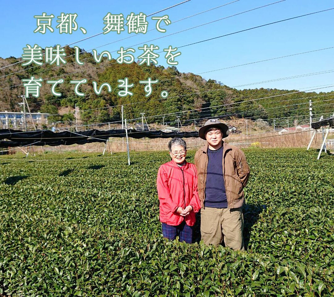 【ふるさと納税】 玉露、抹茶入り煎茶 400g 箱入りセット 日本茶 緑茶 茶葉 お茶 舞鶴茶 京都産 玉露 煎茶 セット リーフ ギフト プレゼント 【送料無料】