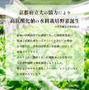 京都府舞鶴市の画像2