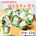 【ふるさと納税】 みらい乃野菜 はんなりレタス 10袋+2袋 12袋 720g レタス ケール おケールはん 袋入 【送料無料】 水耕栽培 野菜 れたす 葉物 ...