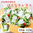 【ふるさと納税】 みらい乃野菜 はんなりレタス 10袋+2袋 12袋 720g レタス ケール おケールはん 袋入 【送料無料】 水耕栽培 野菜 れたす 葉物 サラダ 高抗酸化値 低硝酸態窒素 小分け 小袋 そのまま 食べれる 健康 身体にやさしい お試し 贈答 熨斗