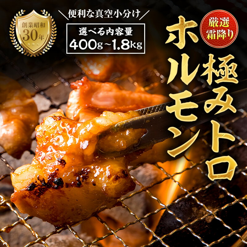 霜降り 極みトロホルモン 400g〜1.8kg 秘伝のタレ付き | 国産 極トロホルモン 霜降り ホルモン 冷凍 真空パック 家庭用 ホルモンうどん 八島丹山 京都 舞鶴