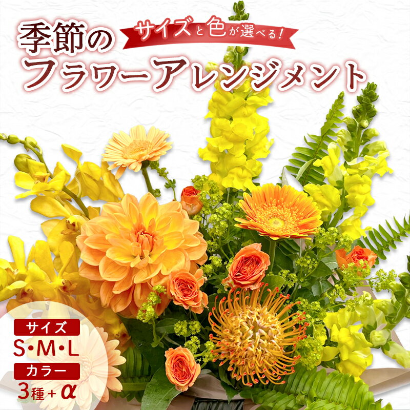 季節のフラワーアレンジメント S M L ( 赤 ピンク 青 紫 黄色 オレンジ 母の日 父の日 クリスマス お正月 バレンタイン ) | 花 お花 生花 フラワー フラワーアレンジメント 花束 お祝い プレゼント 贈答用 記念日 配送地域限定 京都府 綾部市