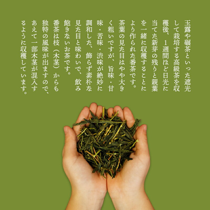 京都府綾部市の画像3