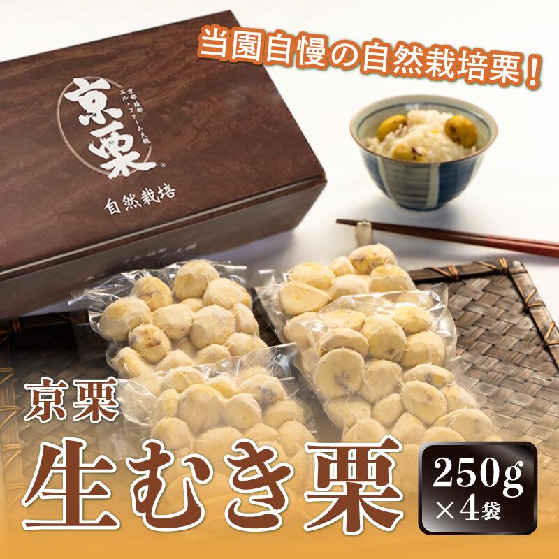 【ふるさと納税】【発送月が選べる】京栗生むき栗 1kg（250g×4袋）【 京都 綾部 丹波栗 自然栽培 農家...