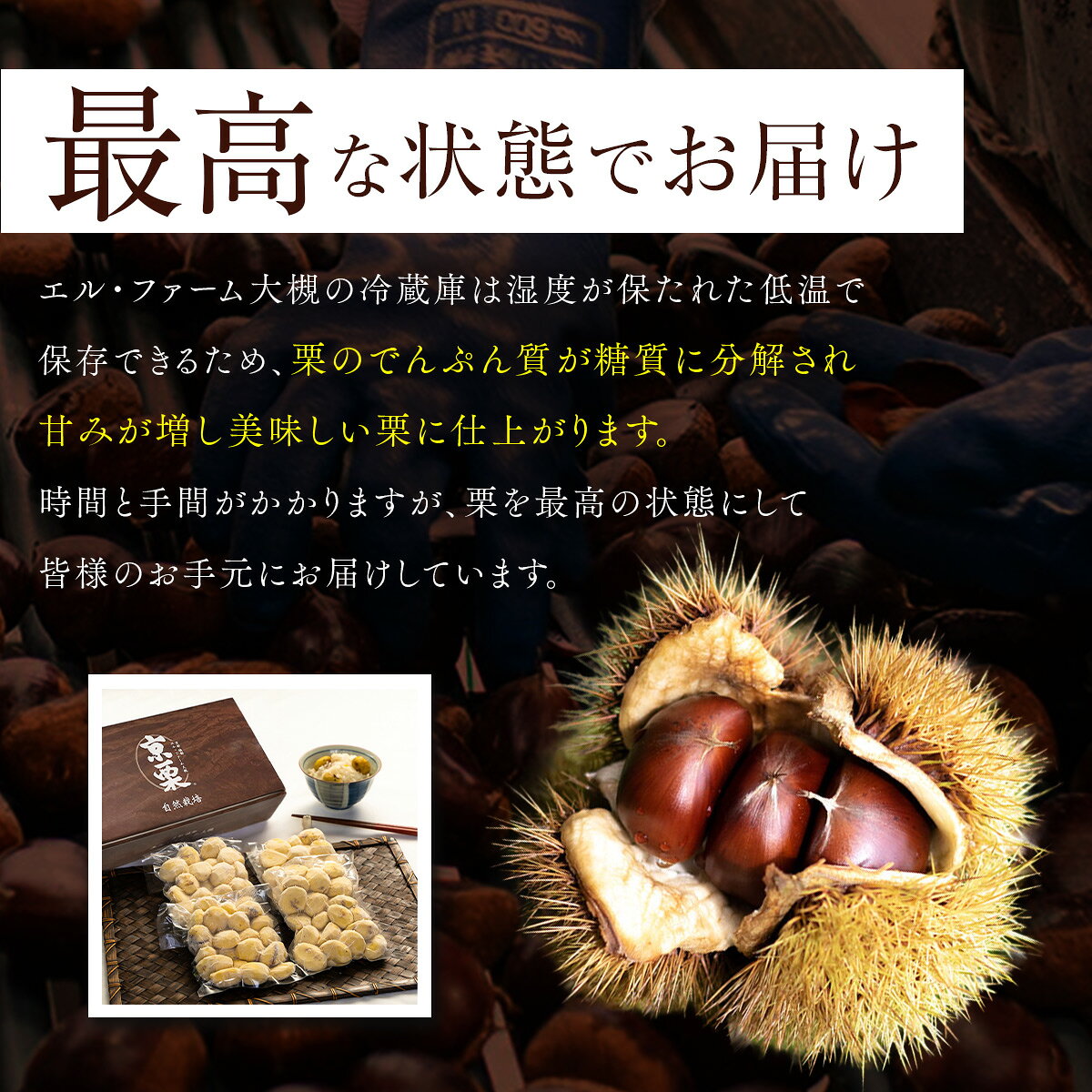 京都府綾部市の【ふるさと納税】《11月中旬以降発送》京栗 生むき栗 冷凍 2kg（250g×8袋） / 栗 フルーツ 国産 綾部市 / エル・ファーム大槻［BSAR011］｜アングル3