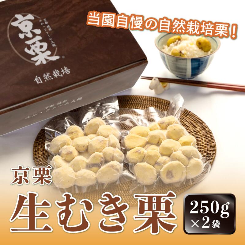 【ふるさと納税】【発送月が選べる】京栗 生むき栗 500g（250g×2袋）【 京都 綾部 丹波栗 自然栽培 農家直送 国産 無農薬 果物 フルーツ くり 栗 】