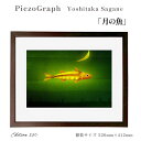 【ふるさと納税】相根良孝 ピエゾグラフ 絵画「月の魚」 額装サイズ526mmx412mm 額縁付き アート インテリア 現代版画 出産祝い 進学祝い 成人祝い ...