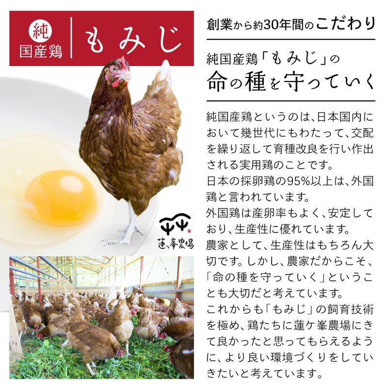 【ふるさと納税】【定期便・選べる月数】京都奥丹波 純国産鶏もみじ 平飼いたまご 24個×3～12ヶ月 【 卵定期便 たまご定期便 平飼い卵 非遺伝子組み換え 自家配合 たまご タマゴ 平飼い 卵 国産 純国産鶏 もみじの平飼い卵 京都奥丹波 綾部 京都 蓮ヶ峯農場 】