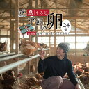 京都奥丹波で暮らす純国産鶏｢もみじ」のたまごです。 低密度な平飼いで、鶏本来の習性や本能を出来るだけ損なわない飼い方を心がけています。 生きものを生きものとして扱うこころを私たちは大切にしています。 飼料はNON-GMOはもちろんのこと、魚粉も抗酸化剤(エトキシキン)無添加のものを使用し、安全性には気を配っています。 また、乳酸菌や枯草菌も与えることで腸内フローラを良好な状態に保ち、生きものとしての健康をサポートしています。 良質なたまごを産んでもらうには、鶏の健康が第一です。私たちの農場にこられた方は驚かれます。 それはほとんど不快な匂いがしないからです。 健康な鶏が暮らす農場はそうでなくてはおかしいと私たちは考えています。 鶏：もみじ 飼料：非遺伝子組み換え飼料(自家配合) 水：山の湧き水または井戸水を流水給水 飼い方：平飼い 鶏舎：開放鶏舎 商品説明 内容量 平飼いたまご（M～Lサイズ） 24個（6個入×4パック） ・3ヶ月（計72個） ・6ヶ月（計144個） ・12ヶ月（計288個） 産地 京都府綾部市 賞味期限 発送から16日 保存方法 ※冷蔵庫(10度以下)にて保存。 生食の場合は賞味期限内に使用し、賞味期限経過後および殻にひびがある場合は、なるべくお早めに十分に加熱調理してからお召し上がりください。 提供者 株式会社For you ふぁーむ その他 ※畜産物のため、産卵数が少ない場合など、発送が遅れる場合がございます。 ※生モノ、ワレモノのため北海道、沖縄、離島への発送は控えさせていただいております。 ※常温で発送いたします。（夏場は冷蔵で発送する場合があります） ※画像はイメージです。 【お問合せ先】 お礼の品に関するお問い合わせは、 （株式会社Foryouふぁーむ　TEL：0773-21-5668）までお願い致します。 人気 ランキング 食品 グルメ お取り寄せグルメ ふるさと納税 送料無料 京都府 京都産 綾部市 綾部 おすすめ ふるさと 楽天ふるさと納税 39ショップ買いまわり 39ショップ キャンペーン 買いまわり 買い回り 買い周り お買い物マラソン マラソンセール 楽天スーパーセール SS スーパーセール スーパーSALE ふるさと納税 人気 ふるさと 納税 限度 額 開店祝い 開店お祝い 開業祝い 周年記念 異動 栄転 転勤 退職 定年退職 挨拶回り 転職 お餞別 贈答品 景品 コンペ 粗品 手土産 寸志 歓迎 新歓 送迎 歓送迎 新年会 二次会 忘年会 記念品 お正月 賀正 新年 新春 初売り 年賀 成人式 成人祝 節分 バレンタイン ひな祭り 卒業式 卒業祝い 入学祝 お花見 ゴールデンウィーク GW こどもの日 端午の節句 お母さん ママ 母の日 お父さん パパ 父の日 七夕 初盆 お盆 お中元 御中元 中元 お彼岸 残暑御見舞 残暑見舞い 敬老の日 おじいちゃん 祖父 おばあちゃん 祖母 寒中お見舞い クリスマス お歳暮 御歳暮 ギフト プレゼント 贈り物 セット お見舞い 退院祝い 全快祝い 快気祝い 快気内祝い ご挨拶 ごあいさつ 引っ越しご挨拶 引っ越しご挨拶 お宮参り御祝 合格祝い 進学内祝い 成人式 御成人 御祝 卒業記念品 卒業祝い 御卒業御祝 入学祝い 入学内祝い 小学校 中学校 高校 大学 就職祝い 社会人 幼稚園 入園内祝い 御入園御祝 お祝い 御祝い 内祝い 金婚式御祝 銀婚式御祝 御結婚お祝い ご結婚御祝い 御結婚御祝 結婚祝い 結婚内祝い 結婚式 引き出物 引出物 引き菓子 御出産御祝 ご出産御祝い 出産御祝 出産祝い 出産内祝い 御新築祝 新築御祝 新築内祝い 祝御新築 祝御誕生日 バースデー バースデイ バースディ 七五三御祝 753 初節句御祝 節句 昇進祝い 昇格祝い 就任 お供え 法事 供養 ・ふるさと納税よくある質問はこちら ・寄付申込みのキャンセル、返礼品の変更・返品はできません。寄付者の都合で返礼品が届けられなかった場合、返礼品等の 再送はいたしません。あらかじめご了承ください。 ・この商品はふるさと納税の返礼品です。スマートフォンでは「購入手続きへ」と表記されておりますが、寄付申込みとなり ますのでご了承ください。