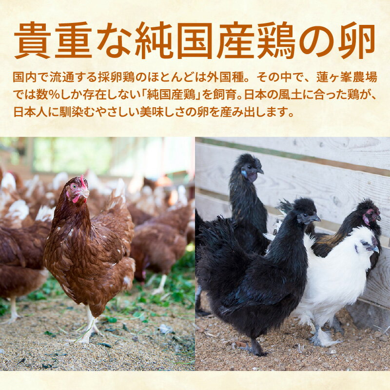 京都府綾部市の画像3