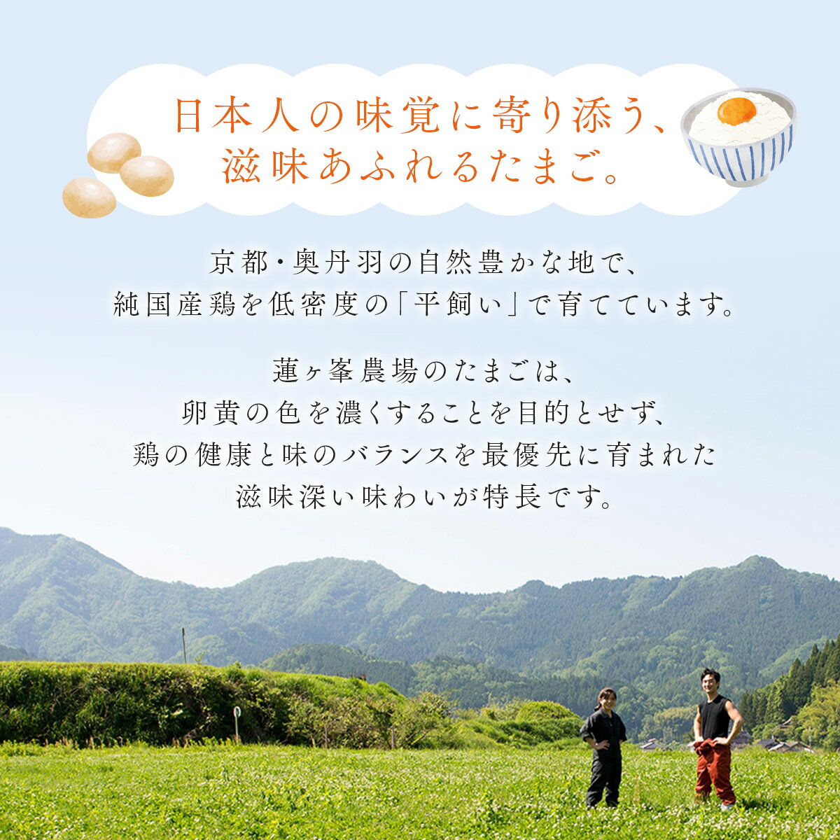 【ふるさと納税】平飼い卵 6〜160個 選べる内容量 / 定期便 純国産鶏 もみじ卵 非遺伝子組み換え飼料 京都府綾部市