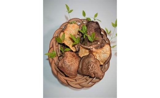 京都府綾部市の画像2