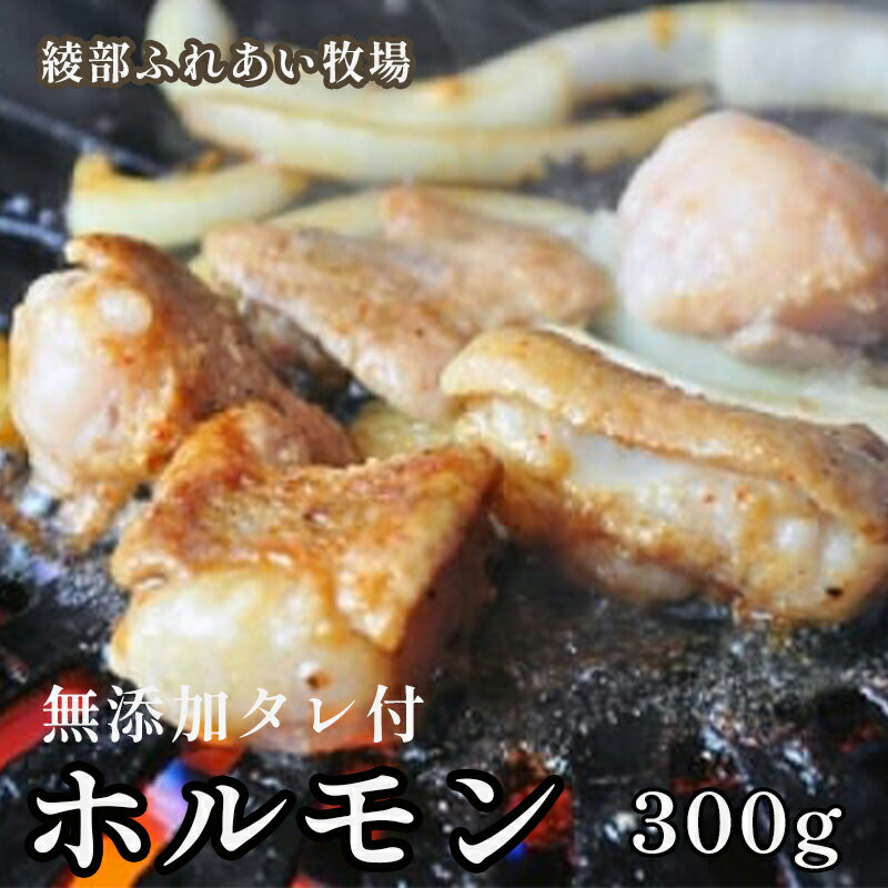 【ふるさと納税】ホルモン焼き 300g（3～4人前）京都牛と