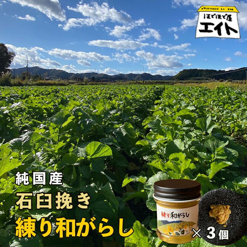 17位! 口コミ数「0件」評価「0」純国産 石臼挽き 練り和がらし3個セット 【 国産 からし 和辛子 辛子 石臼挽き 練りからし セット 和がらし 詰め合わせ ギフト 農家直･･･ 