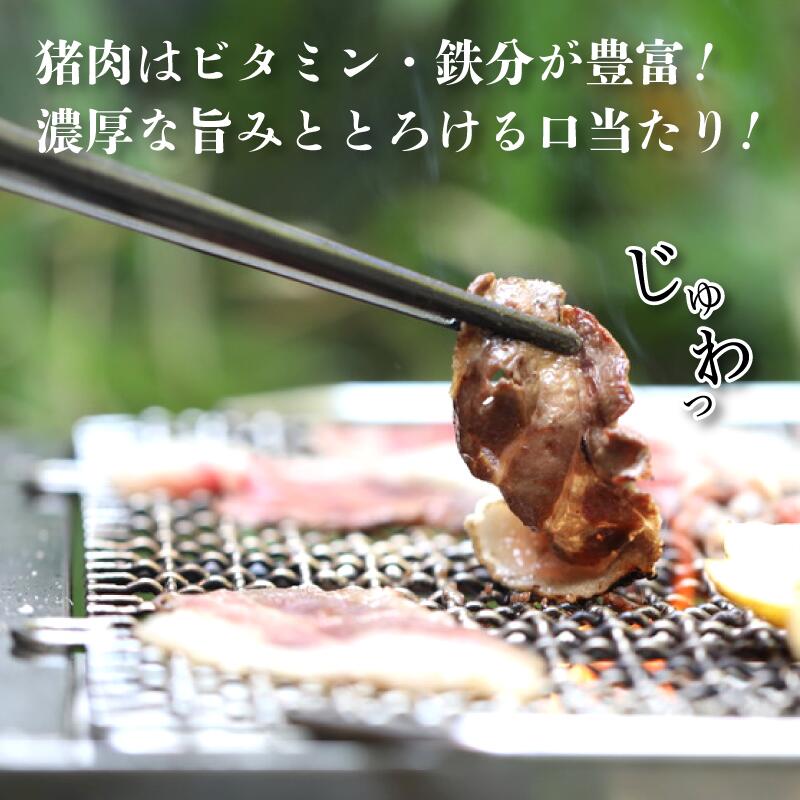 【ふるさと納税】猪肉スライス 300g（約2人前）【 冷凍 国産 猪肉 ロース バラ肉 もも肉 肩肉 スライス肉 いのしし肉 猪 ぼたん鍋 しゃぶしゃぶ すき焼き 焼肉 ジビエ セット 食べ比べ 詰め合わせ 京都 綾部 】