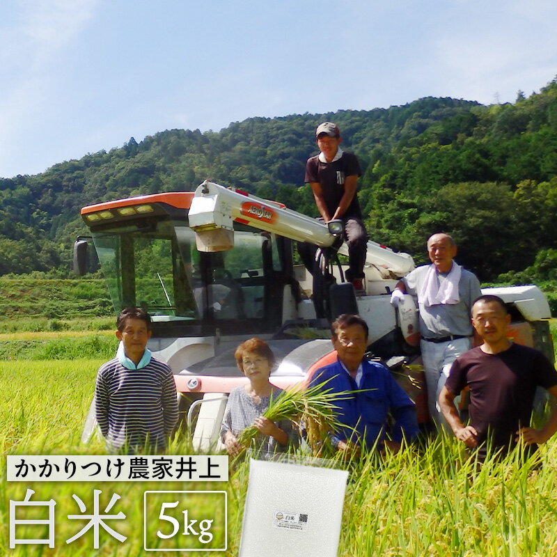 【ふるさと納税】京都府産 低農薬 有機栽培コシヒカリ5kg 
