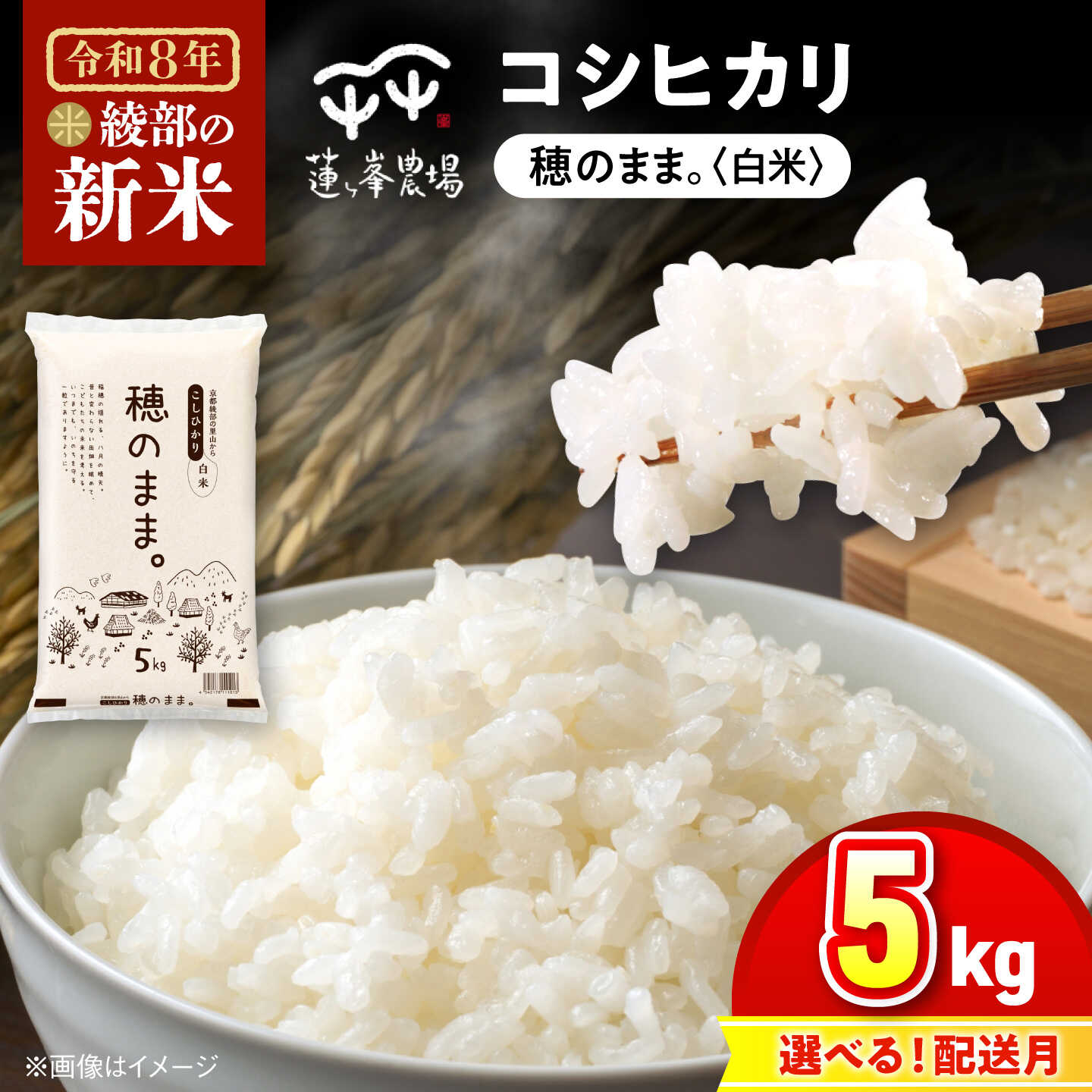 【順次発送】穂のまま コシヒカリ 白米 5kg（5kg×1袋） / 米 お米 精米 京都府産 綾部市 / 株式会社For youふぁーむ[BSCA035]