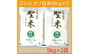 【ふるさと納税】【令和7年度産 新米】 京都府産コシヒカリ 「聖米」 白米 10kg (5kg×2) お米 米 白米 精米 こしひかり 綾部こしひかり 綾部米 ...