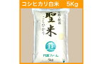 【ふるさと納税】京都府産コシヒカリ 「聖米」 白米 5kg お米 米 白米 精米 こしひかり 国産 京都 綾部【送料無料】