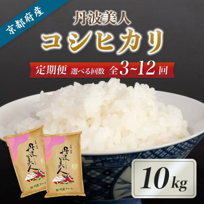 《選べるお届け回数》【定期便】京都府産コシヒカリ「丹波美人」白米10kg （ 3回 / 6回 / 12回 ）【 お米 米 白米 精米 こしひかり 国産 選べる 定期便 毎月発送 京都 綾部 】