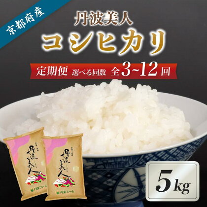 《選べるお届け回数》【定期便】京都府産コシヒカリ「丹波美人」白米5kg （ 3回 / 6回 / 12回 ）【 お米 米 白米 精米 こしひかり 国産 選べる 定期便 毎月発送 京都 綾部 】